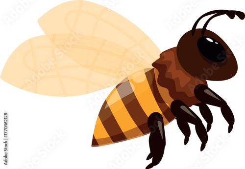 Honey bee flying and showing its stinger while buzzing around