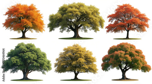 Vibrant trees display stunning autumn foliage in diverse colors capturing seasonal beauty and nature's artistry for your designs