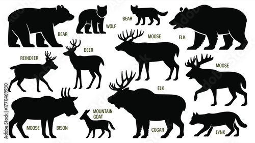 A collection of black silhou8ette illustrations of North American wildlife arranged on a white background