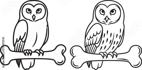 Two owls perched on a bone silhouette