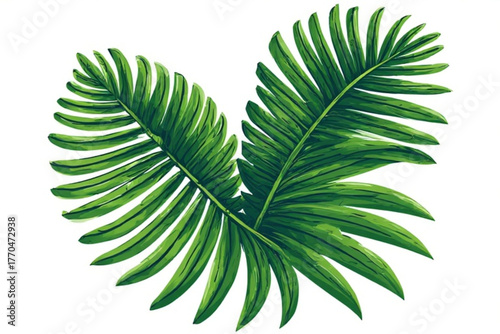 Two vibrant green palm fronds overlapping, creating a tropical, organic and fresh feel against a white background.