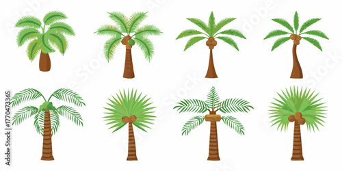 Collection of eight diverse cartoon palm trees with coconuts on a white background