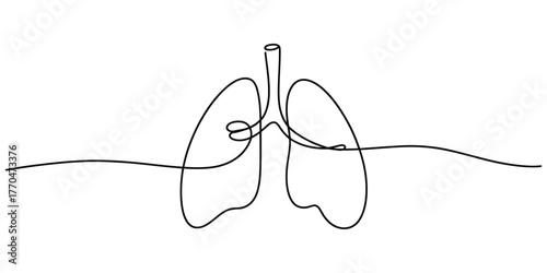Minimalist continuous line drawing of human lungs abstract art vector