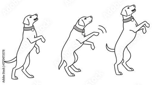 Three cartoon dogs standing on hind legs with collars in a sequence of playful animated poses created with generated ai