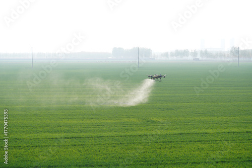 High-resolution photographic images of industrial drones spraying drugs on rice paddies and fields.