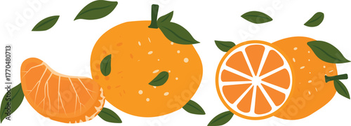 Fruit mandarin isolated on white background