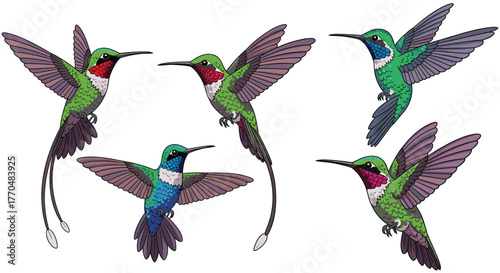Vibrant hummingbirds in dynamic flight capture nature's delicate beauty and swift motion