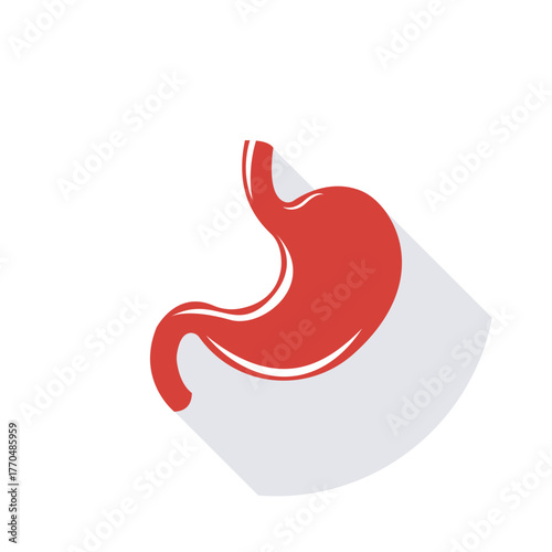 Gastric Health Stomach Anatomy Digestion And Wellbeing Medical Icon Digestive System Human Internal Organs Illustration