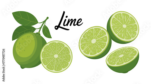 Fresh and Vibrant Lime Illustration Featuring Whole and Sliced Citrus Fruit with Leaves for Healthy Eating Concepts