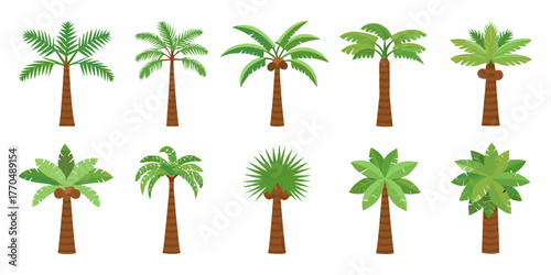 Collection of ten diverse cartoon palm trees with coconuts and varied leaf shapes on a white background