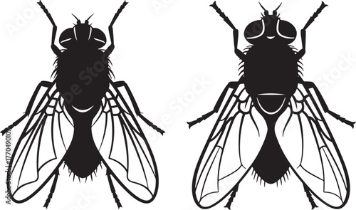 Two detailed insect fly silhouettes