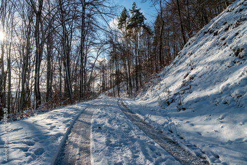 Winter rural journey, snowy rural road scene, sunlit country lane with vehicle tracks frozen snow