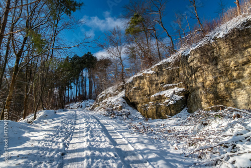 Winter rural journey, snowy rural road scene, sunlit country lane with vehicle tracks frozen snow