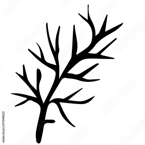 aesthetic seafood fish doodle for restaurant menu