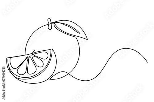 
Orange fruit continuous one line drawing minimalist outline vector illustration