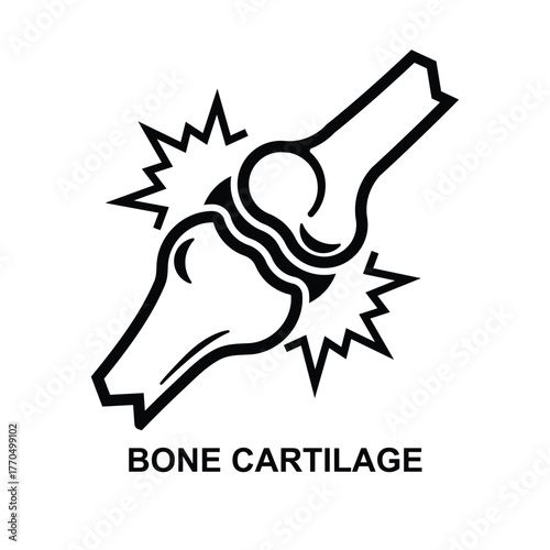 Bone cartilage icon. Joint icon isolated on background vector illustration.