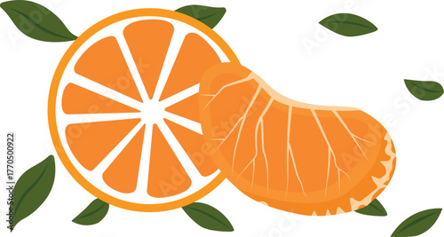 Fruit mandarin isolated on white background