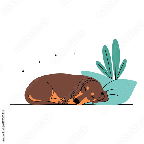 A peaceful brown and tan dachshund dog is sound asleep, curled up on a comfortable blue pillow with a green plant in the background.