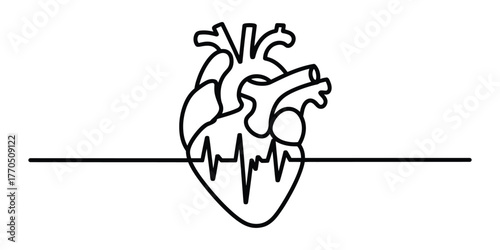 Minimalist continuous line drawing of a heart with ecg line vector
