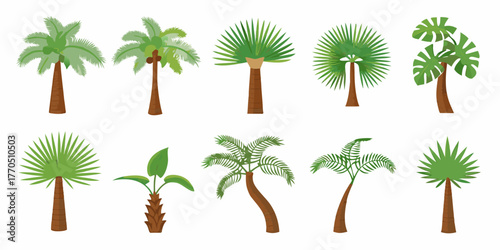 Collection of diverse tropical palm trees with green leaves and brown trunks isolated on white background
