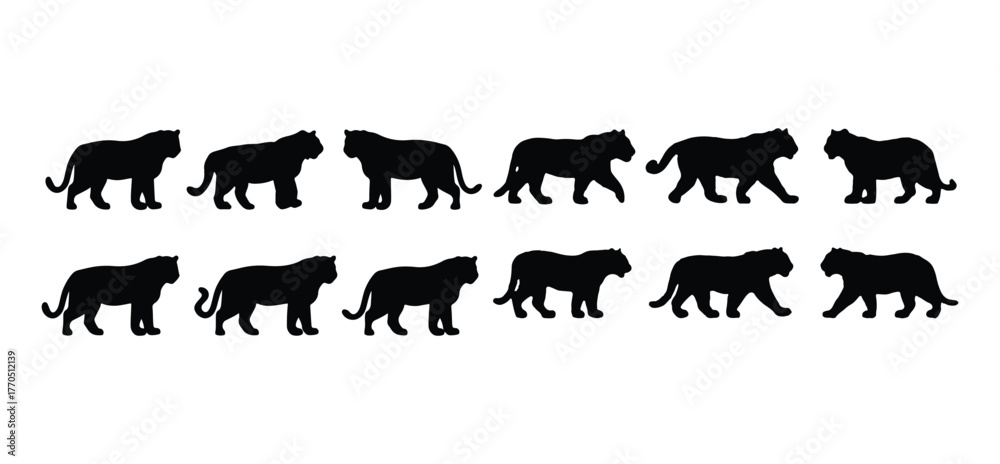 Fototapeta premium 12 Tiger Variations Silhouette Black Vector Set – Unique Editable Wildlife Icons, Animal Outlines, and Modern Nature Graphics 