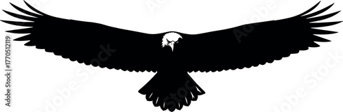 Bird silhouette in flight, underside view, black vector illustration, wings spread wide, raptor pose, freedom symbol, majestic wildlife art