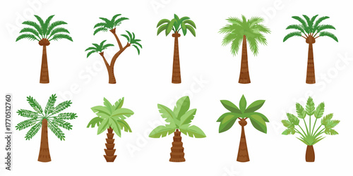 Collection of diverse cartoon palm trees with green leaves and brown trunks on a white background