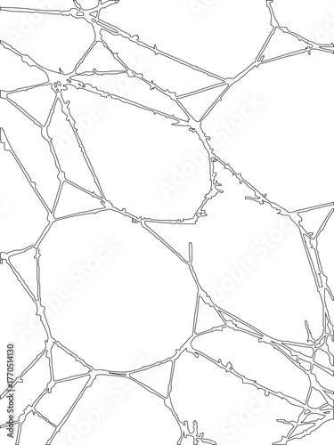 Cell bubble structure displaying clustered circular outlines resembling biological or foamy membrane connections.
