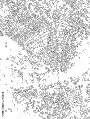 Branched organic network composed of interconnected linear outlines forming a complex natural mesh with irregular flow.