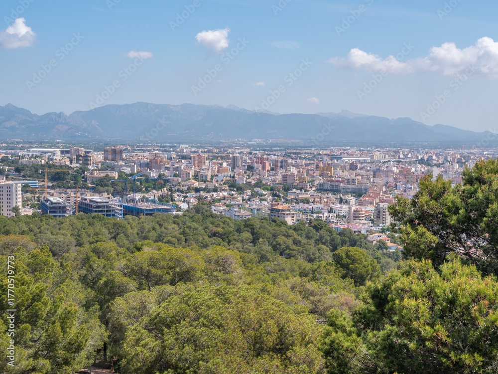 Fototapeta premium A panoramic view of Palma de Mallorca city nestled among lush green trees, with distant mountains under a clear blue sky, Majorca