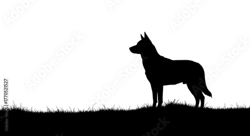 Silhouette of a dog standing on grassy hill against white background  
