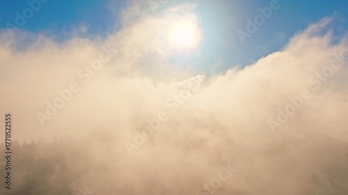 Breathtaking Sunlight Beautifully Breaking Through the Clouds Up Above