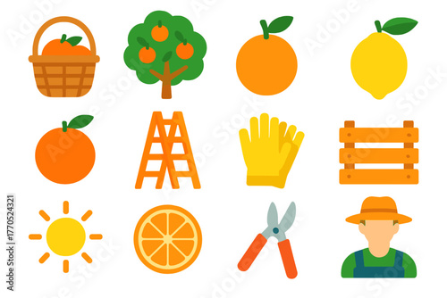 Citrus Harvest Icons. Flat vector icons of Citrus Harvesting: basket, tree, orange, lemon, tangerine, ladder, gloves, crate, sun,