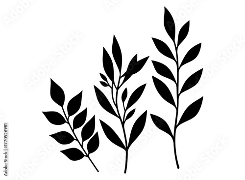 A curated set of three black silhouette plant branches with delicate leaves, isolated vector botanical art