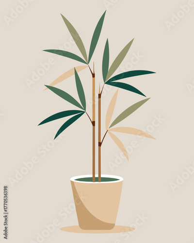 Illustration of a potted bamboo plant with green leaves and brown stems on a light beige background girl avatar