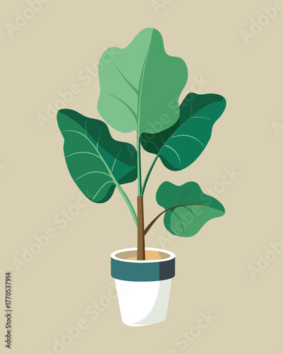 Illustration of a fiddle leaf fig plant in a pot with a beige background, isolated girl avatar