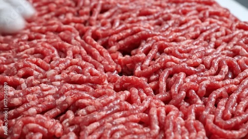 Wallpaper Mural Fresh Raw Ground Meat on White Surface for Culinary Use and Recipes Torontodigital.ca