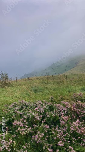Picturesque landscapes with rolling green hills and mountains in the highlands of Cantabria, Spain.
