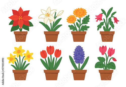 Colorful potted flowers: nine varieties of blooms in terracotta pots