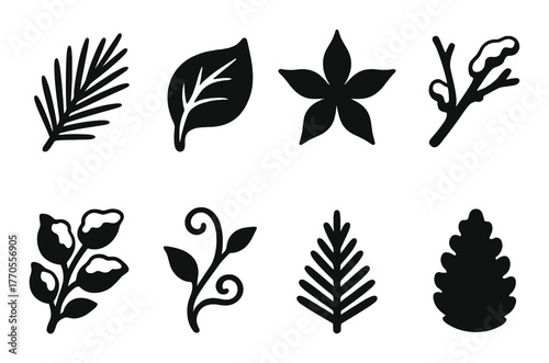 Silhouette of diverse leaf shapes on a dark background