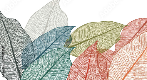Elegant natural background with a spectrum of overlapping, transparent, skeletal leaves showcasing intricate vein patterns.