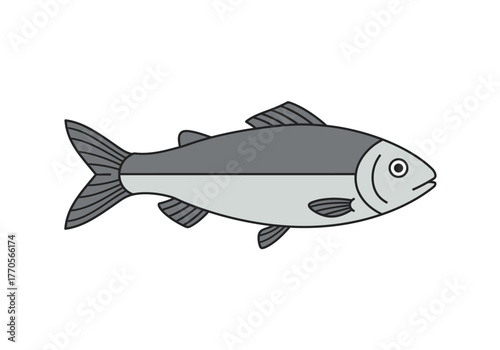 A gray fish illustration with distinct fins tail and a clear eye divided horizontally into two shades of gray