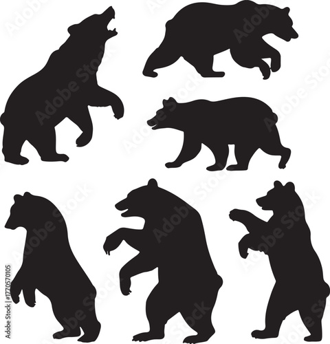Bear Silhouettes in various Poses Isolated