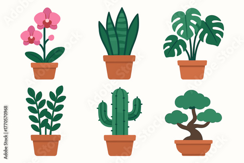 A set of 6 colorful vector illustrations of indoor plants in terracotta pots. Style: cartoonish, flat, with soft shadows, on a white background. The pots are identical, brown-terracotta.