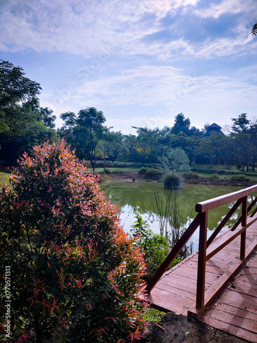 selective focus picture of a pond in the park