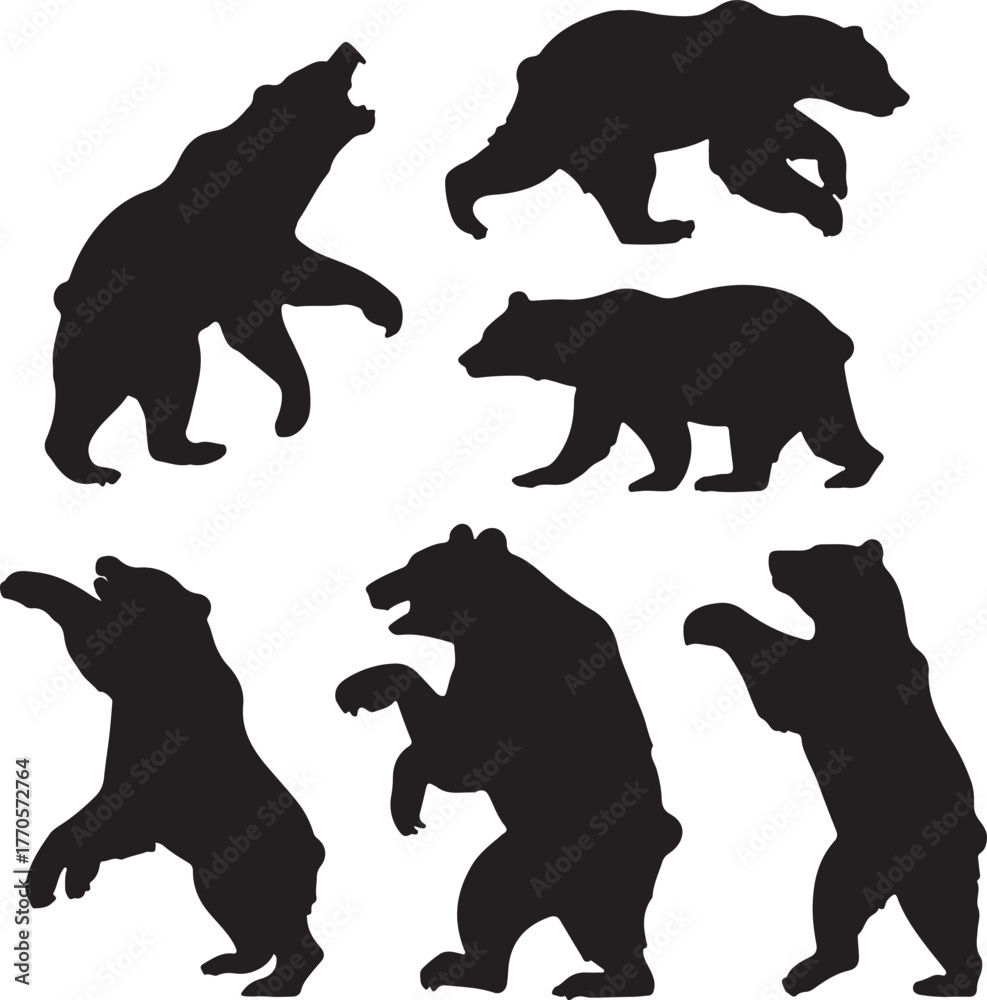 Naklejka premium Bear silhouettes walking standing roaring animals