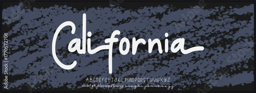 Hand drawn script vector font. Alphabet with uppercase and lowercase with variation lowercase. 