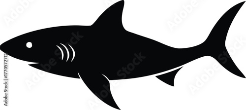 Great white shark silhouette. Dangerous marine fish graphic vector.