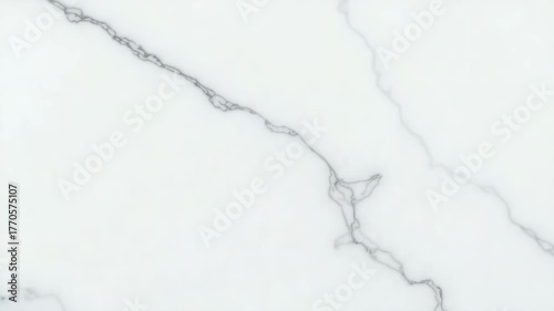 A close-up view of white marble with gray veining. The surface is smooth and polished, showcasing natural patterns and textures.