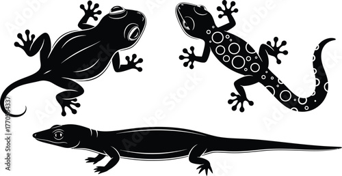 Three stylized black lizards and geckos shown in silhouette against a white background